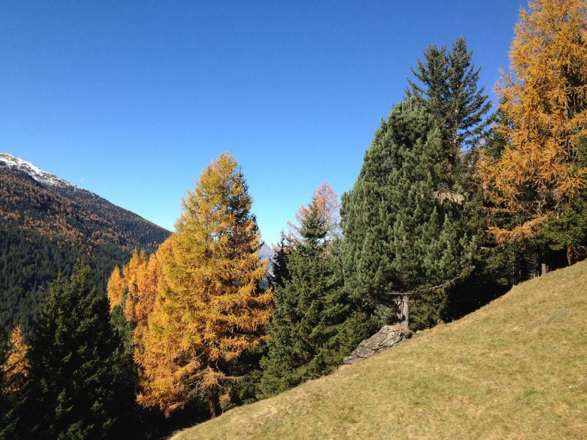 Chalet Del Bosco Valdisotto Eksteriør billede