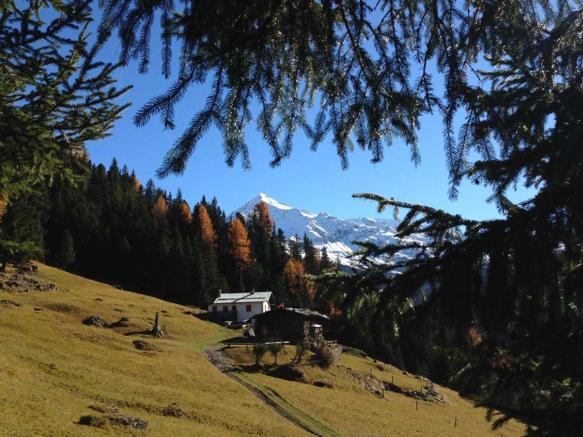 Chalet Del Bosco Valdisotto Eksteriør billede